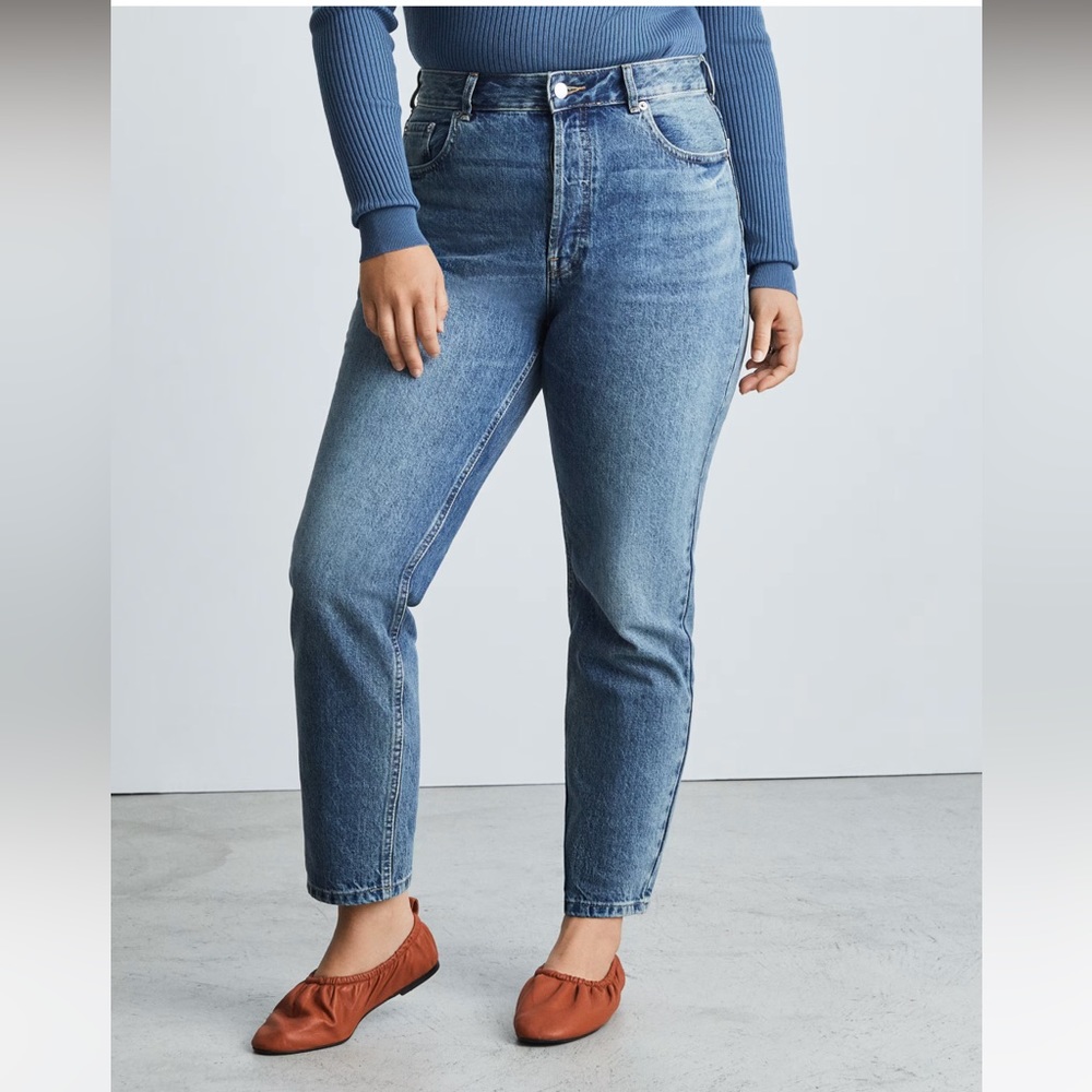 NWOT Everlane The Curvy 90s Cheeky Straight Jeans